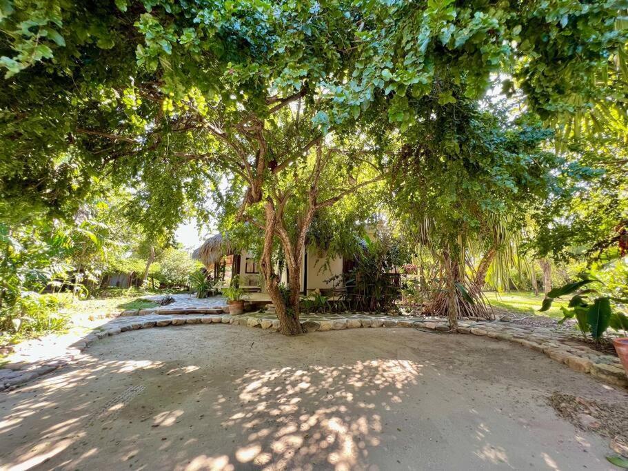 Casa Kuul, Elegant Fusion Of House And Garden. Villa Puerto Escondido  Bagian luar foto