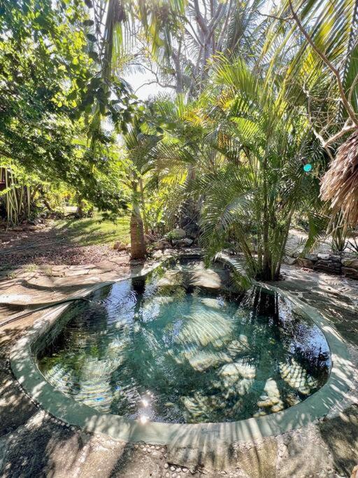 Casa Kuul, Elegant Fusion Of House And Garden. Villa Puerto Escondido  Bagian luar foto